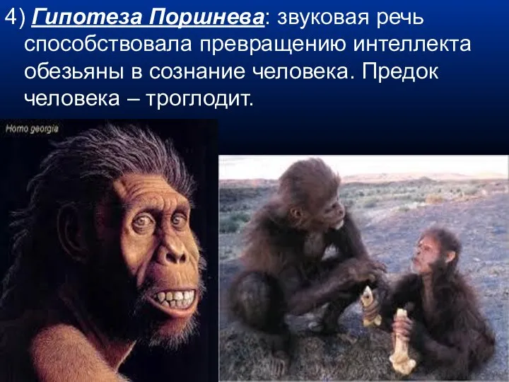 4) Гипотеза Поршнева: звуковая речь способствовала превращению интеллекта обезьяны в сознание человека. Предок человека – троглодит.