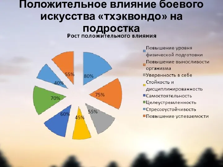 Положительное влияние боевого искусства «тхэквондо» на подростка