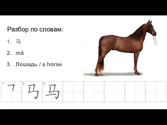 Разбор по словам: 马 mǎ Лошадь / a horse