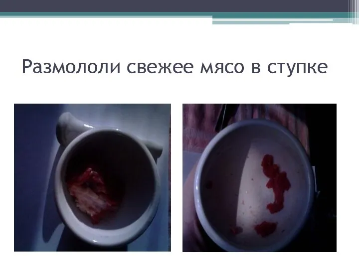 Размололи свежее мясо в ступке