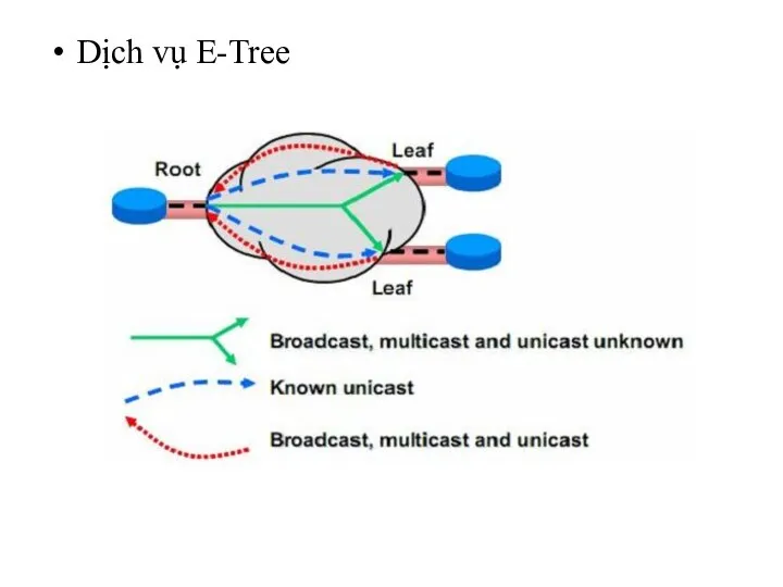 Dịch vụ E-Tree