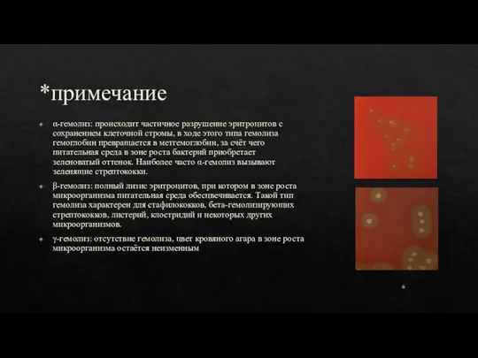 *примечание α-гемолиз: происходит частичное разрушение эритроцитов с сохранением клеточной стромы, в ходе