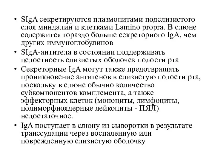 SIgA секретируются плазмоцитами подслизистого слоя миндалин и клетками Lamino propra. В слюне