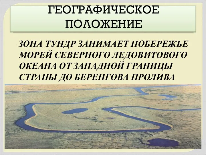 ГЕОГРАФИЧЕСКОЕ ПОЛОЖЕНИЕ ЗОНА ТУНДР ЗАНИМАЕТ ПОБЕРЕЖЬЕ МОРЕЙ СЕВЕРНОГО ЛЕДОВИТОВОГО ОКЕАНА ОТ ЗАПАДНОЙ