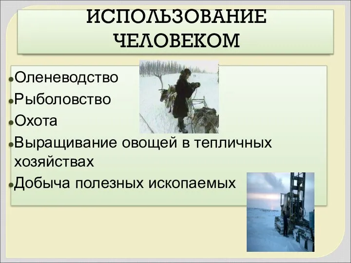 ИСПОЛЬЗОВАНИЕ ЧЕЛОВЕКОМ Оленеводство Рыболовство Охота Выращивание овощей в тепличных хозяйствах Добыча полезных ископаемых