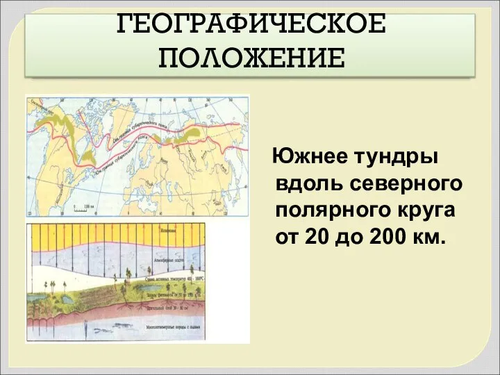 ГЕОГРАФИЧЕСКОЕ ПОЛОЖЕНИЕ Южнее тундры вдоль северного полярного круга от 20 до 200 км.