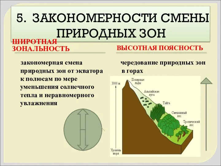 5. ЗАКОНОМЕРНОСТИ СМЕНЫ ПРИРОДНЫХ ЗОН ШИРОТНАЯ ЗОНАЛЬНОСТЬ ВЫСОТНАЯ ПОЯСНОСТЬ закономерная смена природных