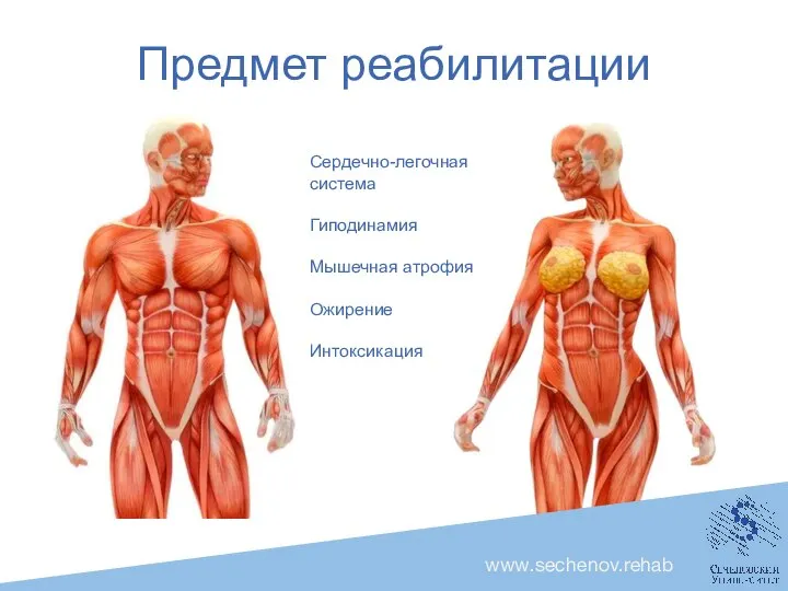 Предмет реабилитации Предмет реабилитации Сердечно-легочная система Гиподинамия Мышечная атрофия Ожирение Интоксикация www.sechenov.rehab