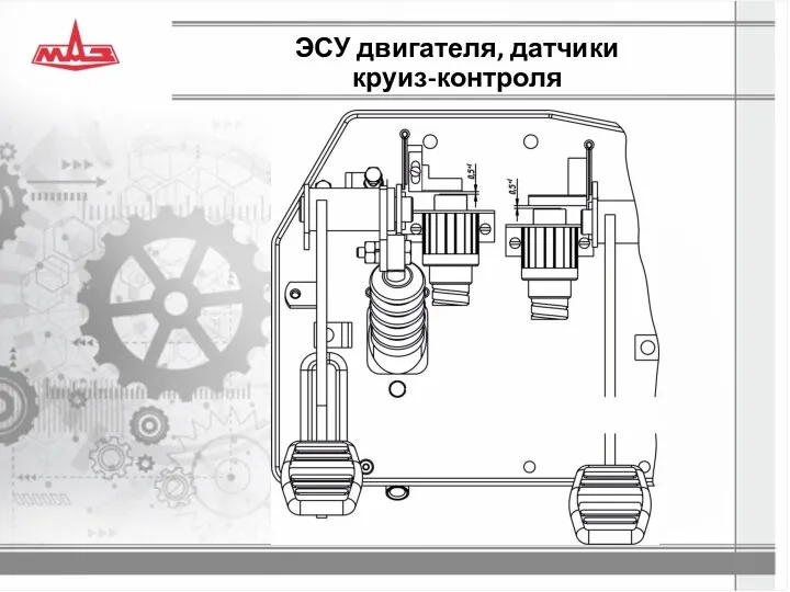 ЭСУ двигателя, датчики круиз-контроля