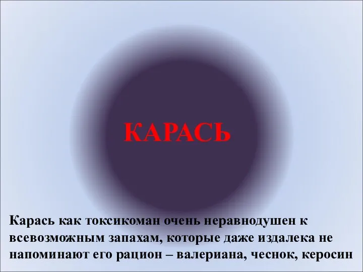 КАРАСЬ Карась как токсикоман очень неравнодушен к всевозможным запахам, которые даже издалека