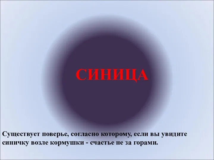 СИНИЦА Существует поверье, согласно которому, если вы увидите синичку возле кормушки - счастье не за горами.