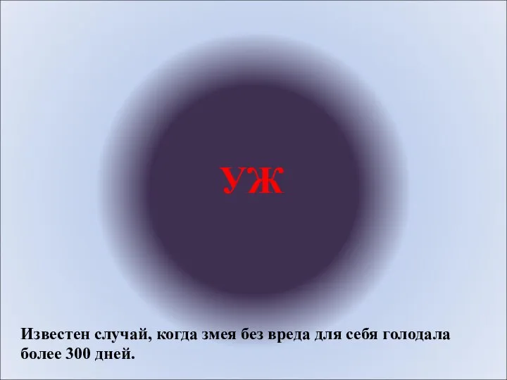 УЖ Известен случай, когда змея без вреда для себя голодала более 300 дней.