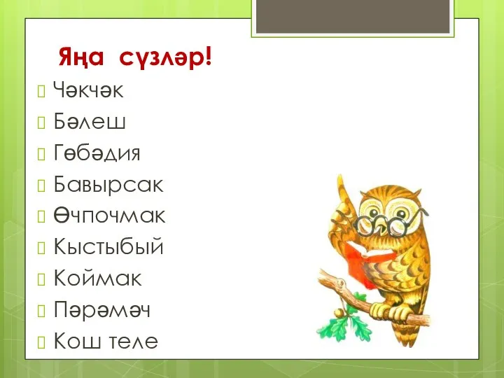 Яңа сүзләр! Чәкчәк Бәлеш Гөбәдия Бавырсак Өчпочмак Кыстыбый Коймак Пәрәмәч Кош теле