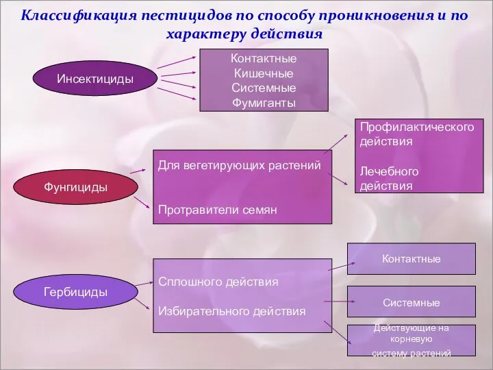 Классификация пестицидов по способу проникновения и по характеру действия Инсектициды Контактные Кишечные