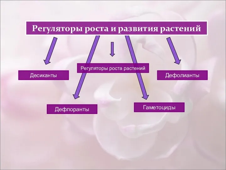 Регуляторы роста и развития растений Дефлоранты Десиканты Дефолианты Гаметоциды Регуляторы роста растений