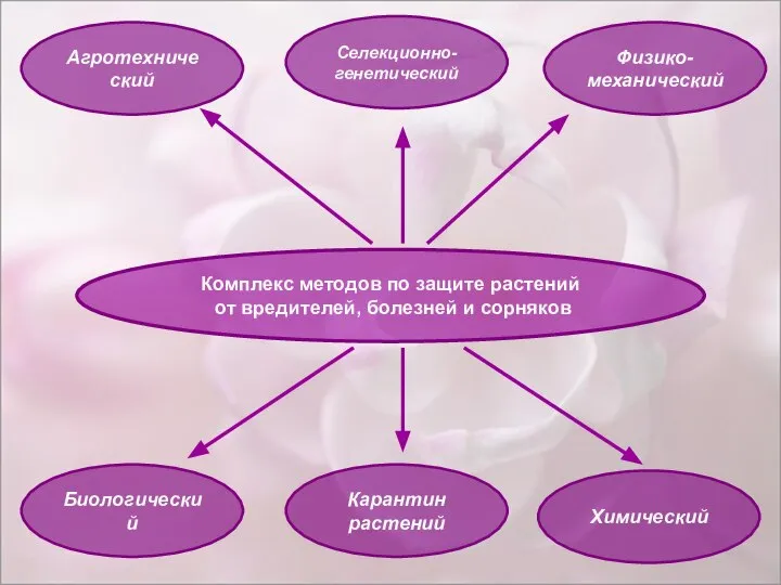 Комплекс методов по защите растений от вредителей, болезней и сорняков Биологический Агротехнический