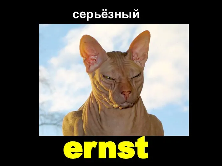 ernst серьёзный