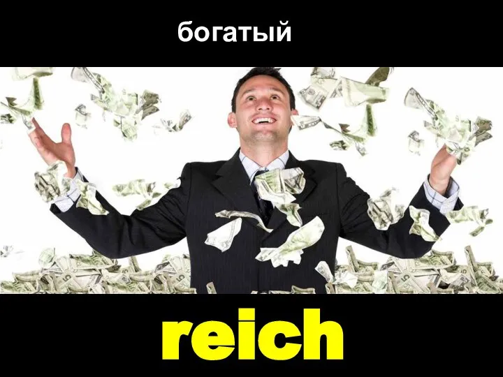 reich богатый