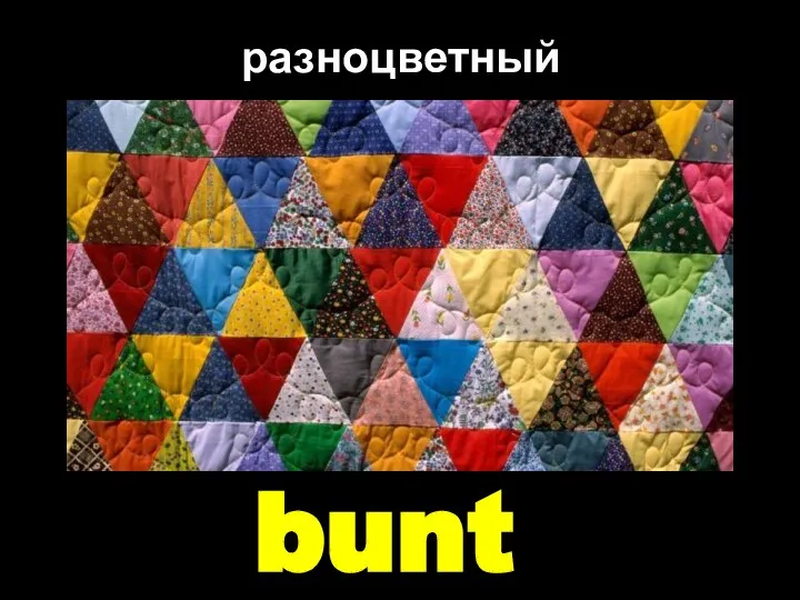 bunt разноцветный