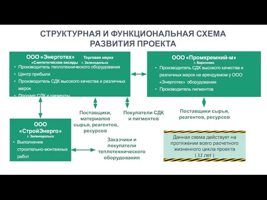 СТРУКТУРНАЯ И ФУНКЦИОНАЛЬНАЯ СХЕМА РАЗВИТИЯ ПРОЕКТА Поставщики сырья, реагентов, ресурсов Заказчики и