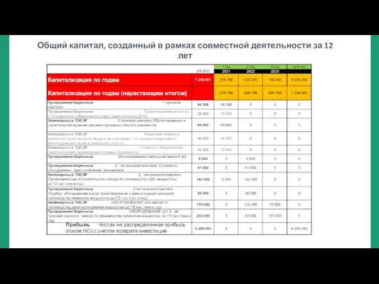 Общий капитал, созданный в рамках совместной деятельности за 12 лет