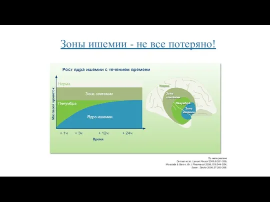 Зоны ишемии - не все потеряно! По материалам: Donnan et al. Lancet