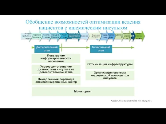 Обобщение возможностей оптимизации ведения пациентов с ишемическим инсультом Audebert. Presentation at the