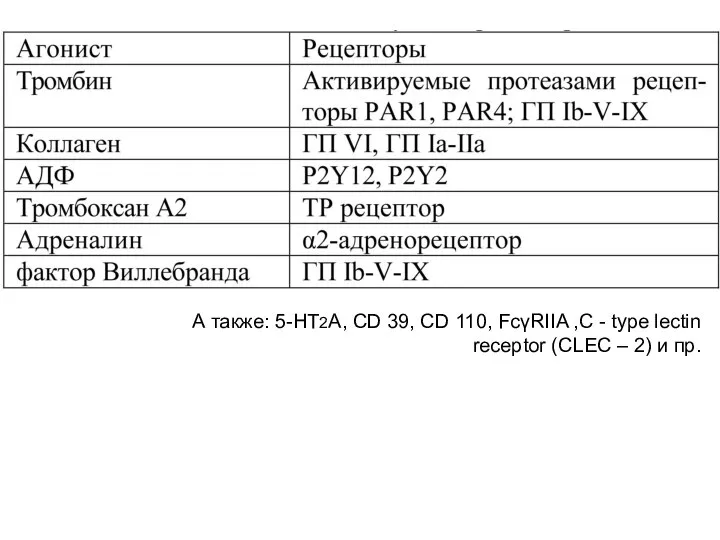 А также: 5-HT2A, CD 39, CD 110, FcγRIIA ,C - type lectin