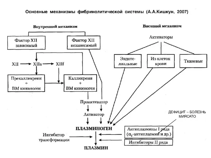 ДЕФИЦИТ – БОЛЕЗНЬ МИЯСАТО