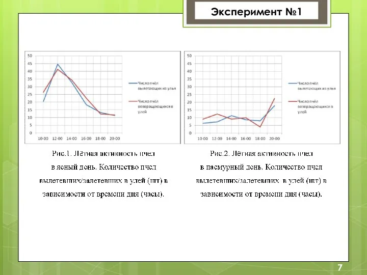 Эксперимент №1