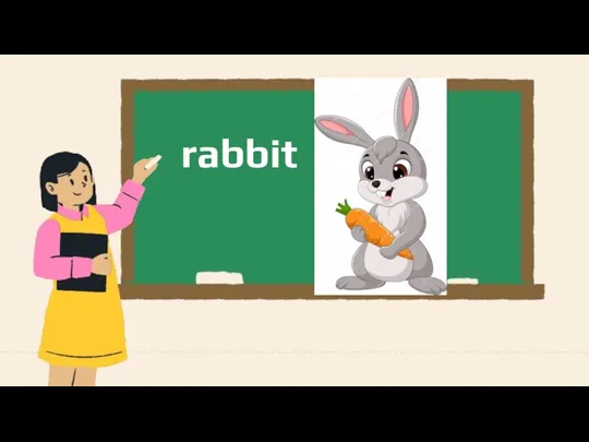 rabbit