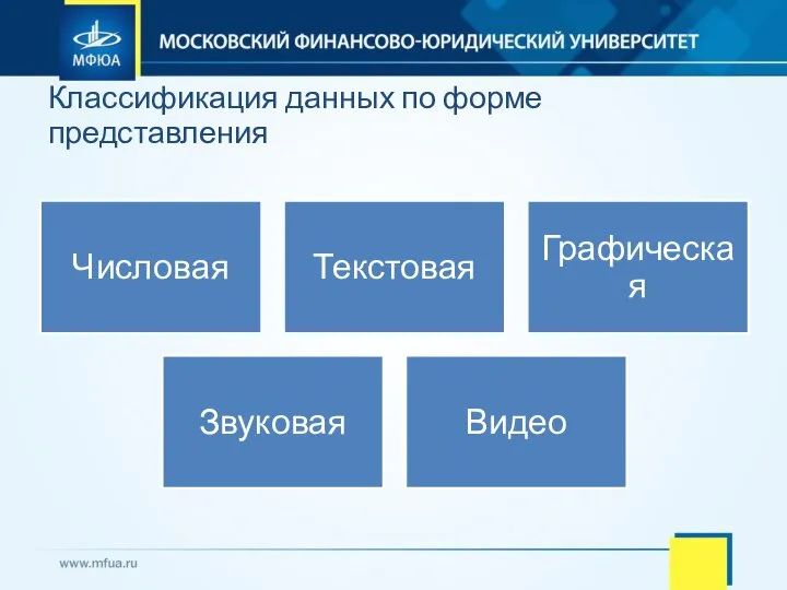 Классификация данных по форме представления