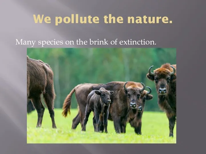 We pollute the nature. Many species on the brink of extinction.
