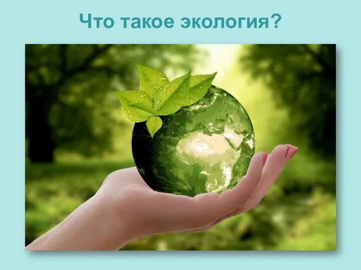 Что такое экология?