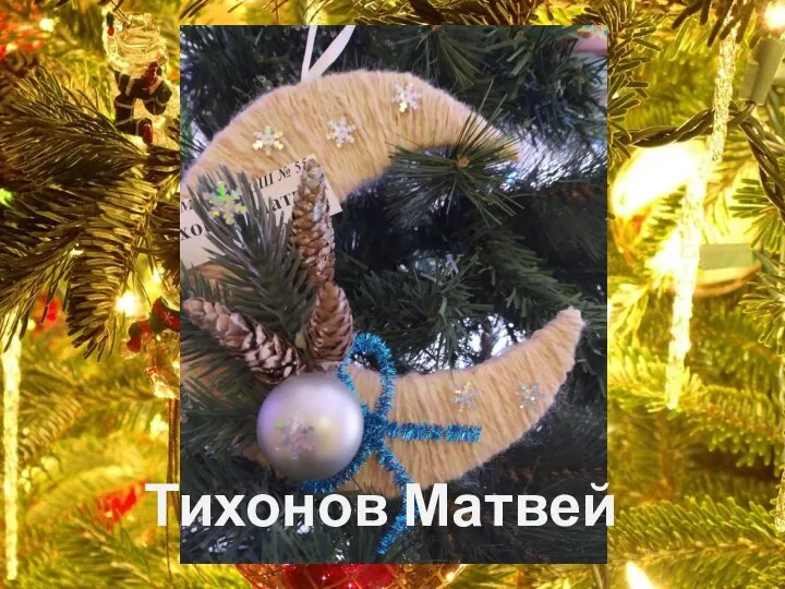 Тихонов Матвей