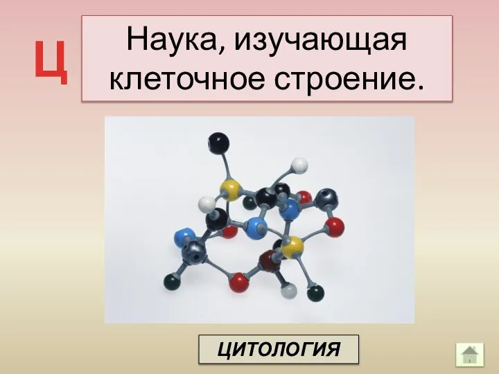 Наука, изучающая клеточное строение. Ц ЦИТОЛОГИЯ