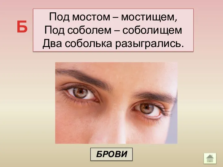 Под мостом – мостищем, Под соболем – соболищем Два соболька разыгрались. Б БРОВИ