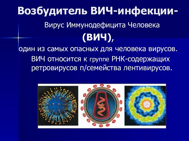 Возбудитель ВИЧ-инфекции- Вирус Иммунодефицита Человека (ВИЧ), один из самых опасных для человека