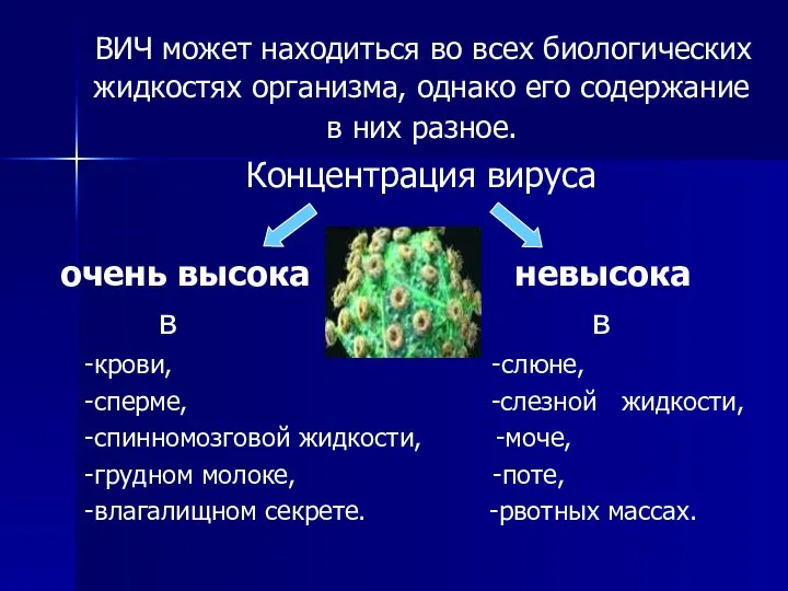 ВИЧ может находиться во всех биологических жидкостях организма, однако его содержание в