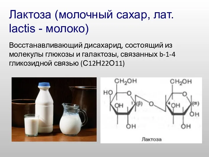 Лактоза (молочный сахар, лат. lactis - молоко) Восстанавливающий дисахарид, состоящий из молекулы