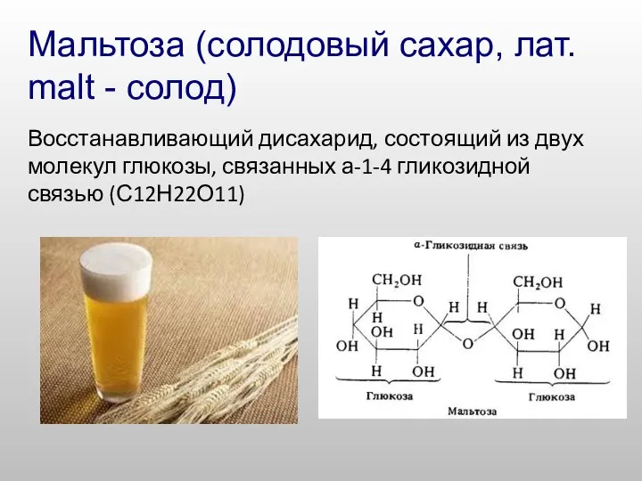 Мальтоза (солодовый сахар, лат. malt - солод) Восстанавливающий дисахарид, состоящий из двух