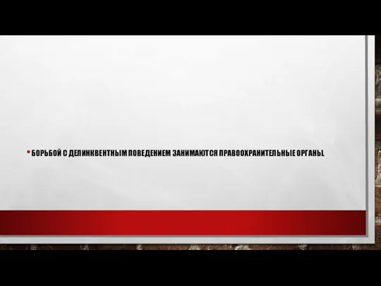 БОРЬБОЙ С ДЕЛИНКВЕНТНЫМ ПОВЕДЕНИЕМ ЗАНИМАЮТСЯ ПРАВООХРАНИТЕЛЬНЫЕ ОРГАНЫ.