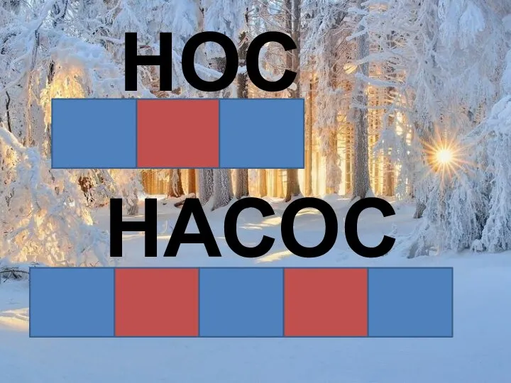 НОС НАСОС