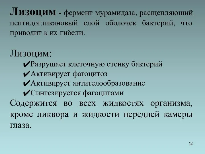 Лизоцим - фермент мурамидаза, расщепляющий пептидогликановый слой оболочек бактерий, что приводит к