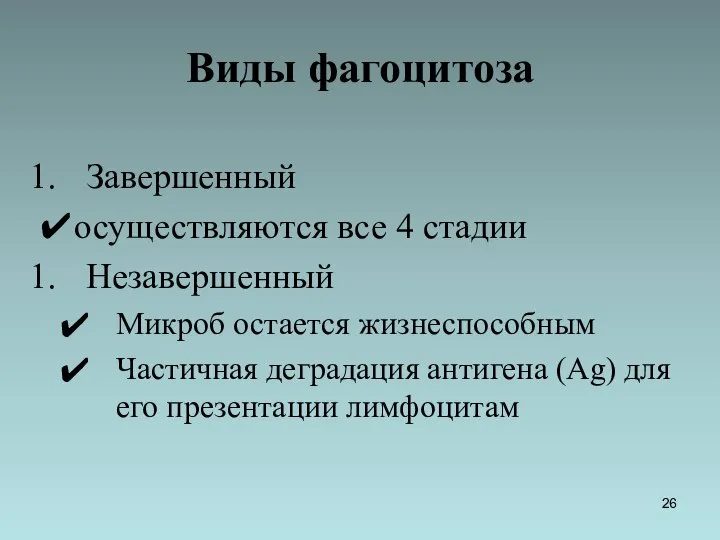 Виды фагоцитоза Завершенный ✔осуществляются все 4 стадии Незавершенный Микроб остается жизнеспособным Частичная