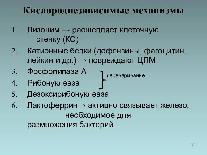 Кислороднезависимые механизмы Лизоцим → расщепляет клеточную стенку (КС) Катионные белки (дефензины, фагоцитин,