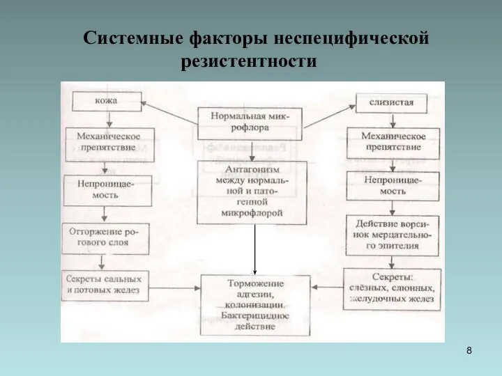 Системные факторы неспецифической резистентности