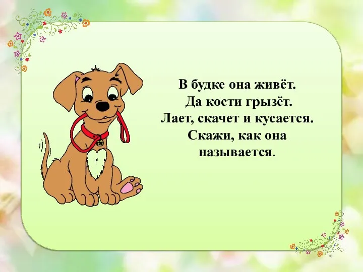 В будке она живёт. Да кости грызёт. Лает, скачет и кусается. Скажи, как она называется.