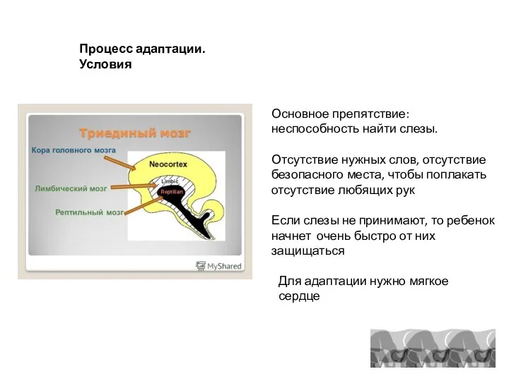 Процесс адаптации. Условия Основное препятствие: неспособность найти слезы. Отсутствие нужных слов, отсутствие