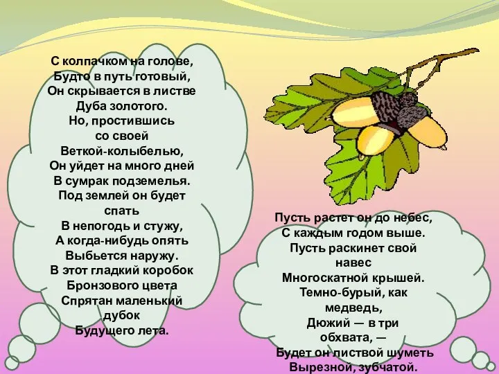 С колпачком на голове, Будто в путь готовый, Он скрывается в листве